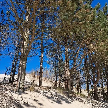 Piaskowe Z Widokiem Na Morze Tarasem Na Dachu 아파트