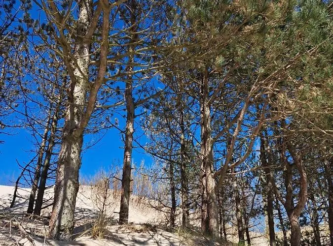 Piaskowe Z Widokiem Na Morze Tarasem Na Dachu Daire